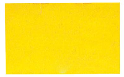 Preisauszeichnungs-Etiketten (B/H) 24 x 16 mm, gelb, blanko