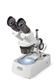 Stereomikroskop (Gesamtvergrößerung 10 bis 40-fach)